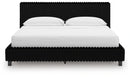 Zuraleus Bed