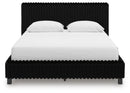 Zuraleus Bed