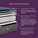 Beautyrest World Class Level Three Hybrid Medium Mattress